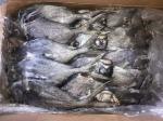 1kg Up Whole Round Black Pomfret Fish Fresh Frozen Seafood
