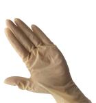 Economical Powder Free Disposable Latex Gloves Economical Powder Free Disposable