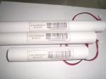 Eco-friendly Emergency Lighting Battery Cells