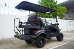 Electric Cartelectric Golf Cart Buggy Vehicles 2+2 Seater With Dump Bed And Roof