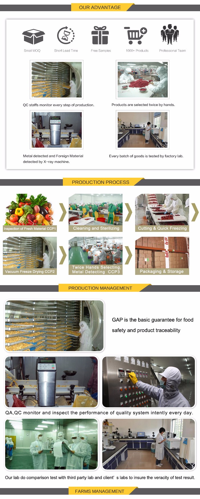 2016 New Natural Vegetable Food Freeze Dried Broccoli