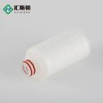 5 inch 10 inch 20 inch 30 inch 40 inch Hydrophilic Membrane Pleated Cartridge