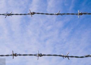 Wholesale Rust resistance Double strand reverse twist Hot Dipped Galvanized Barbed Wire Roll from china suppliers
