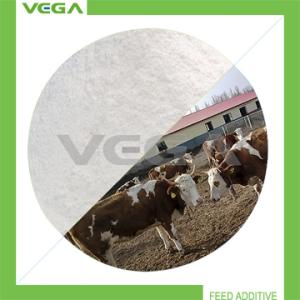 Wholesale 20% Florfenicol Premix China Product for Animal from china suppliers