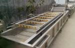 Automatic Ginger Washing Machine , Stainless Steel Vegetable Washing Equipment