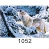 Buy cheap 0.6mm Thickness 3D Lenticular Images , Advertising Poster 3D Wolf Picture from wholesalers