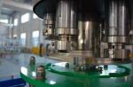 10000BPH Carbonated SUS304 Beverage Bottling Equipment
