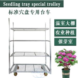 Wholesale Plywood Danish Trolley Dutch Nursery Cart Danish Trolley Rust Proof from china suppliers