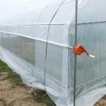 Tropical Tunnel Plastic Greenhouse / Customized Agricultural Greenhouse