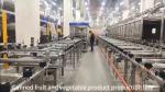 OEM Canned Food Packaging Machine Fruit Vegetable Product Production Line
