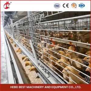 Wholesale 90-200 Chickens Capacity Automatic Chicken Cage System Rose from china suppliers