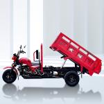 Maximum Speed 50-70Km/h High Cargo Side Adult Recumbent Tricycle 200cc Tipper