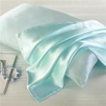 Pink Slip 20x26in Pure Silk Pillowcase Private Label For Baby Care Room