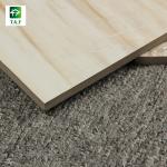 Non slip Glazed Ceramic Tiles , Thickness 9.3mm Living Room Ceramic Floor Tiles