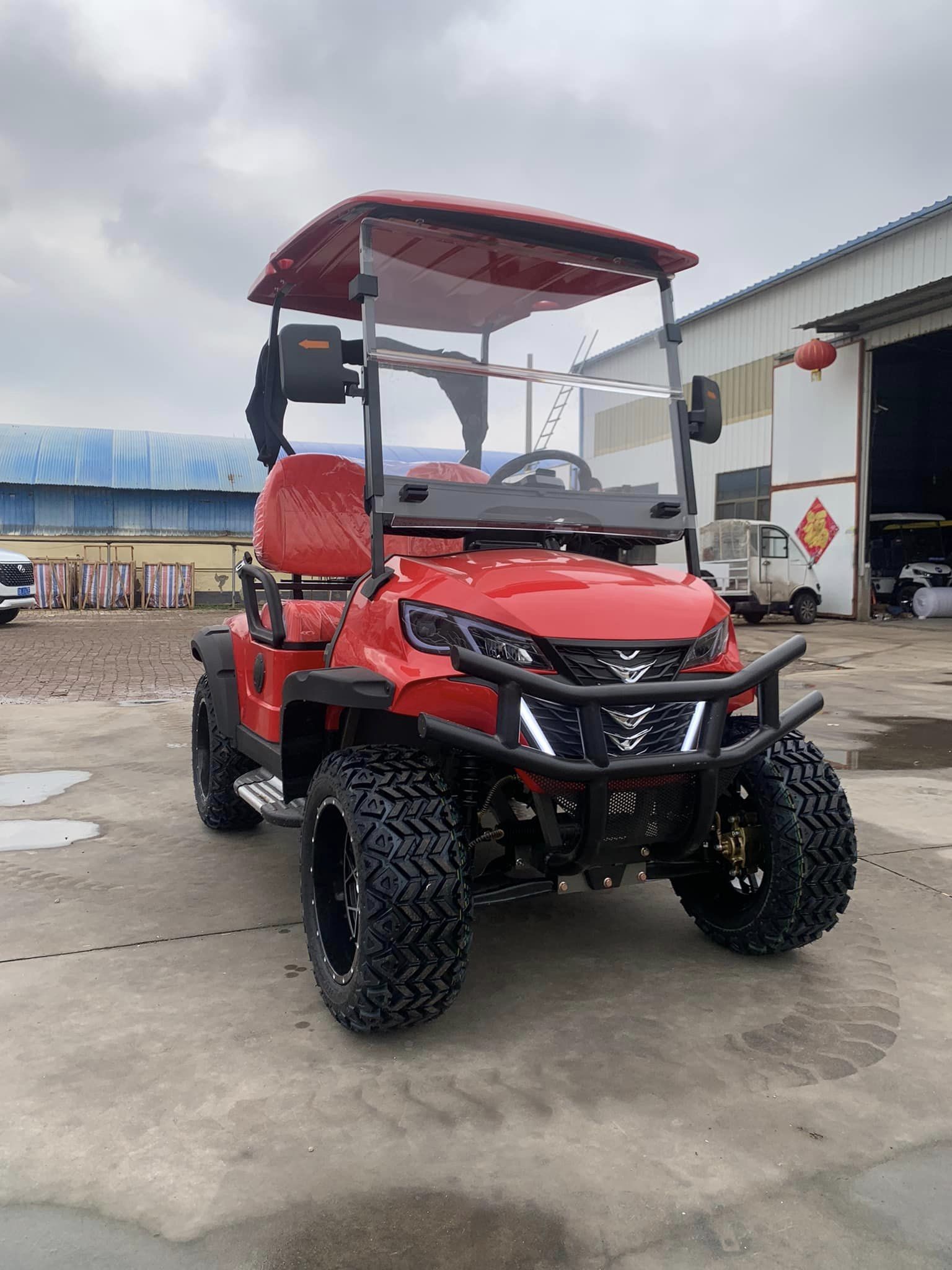 Enhanced Visibility 2 Seater Golf Cart With Striking LED Lights