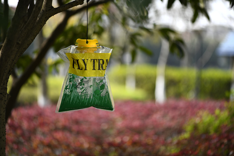 Water-soluble Fly Trap for Safe and Effective Pest Management 55*44*43cm Carton Size