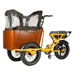 Wholesale NO Foldable Three Wheel Cargo Tricycle E-bike for Food Delivery and Carrying Children from china suppliers