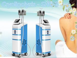 Wholesale SHC-2 fat freezing weight lose body shaping machine from china suppliers