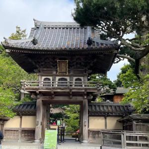 Wholesale 10mm Thick Japanese Roof Tiles Temple Matt Unglazed Traditional from china suppliers