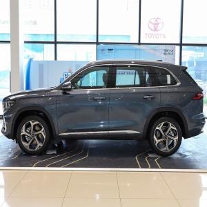 Wholesale Closed Monjaro L Gasoline Petrol SUV Car 5 Seats 215km/H 2WD 2500-3000mm Wheel Base from china suppliers