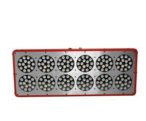 Wholesale 2016 Indoor plant growing light 540w lastest hydroponics growth system grow light 180*3w from china suppliers
