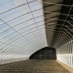 Humidity Controlled Sunlight Greenhouse for Large Tomato Cucumber Cultivation in