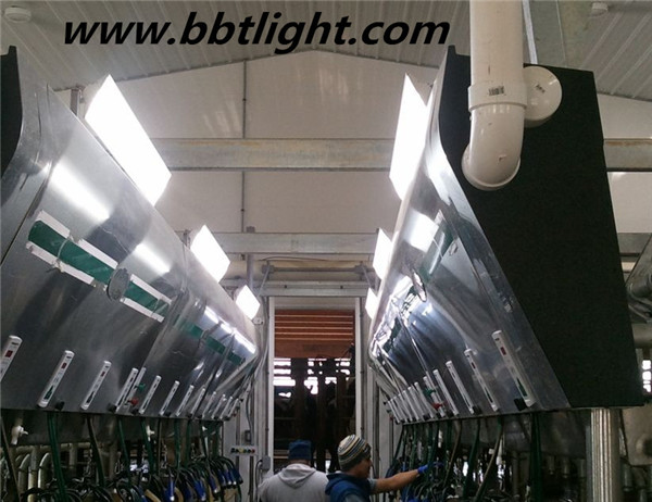 45w 1200mm ETL approved Linear Led Light with Internal Isolated Driver