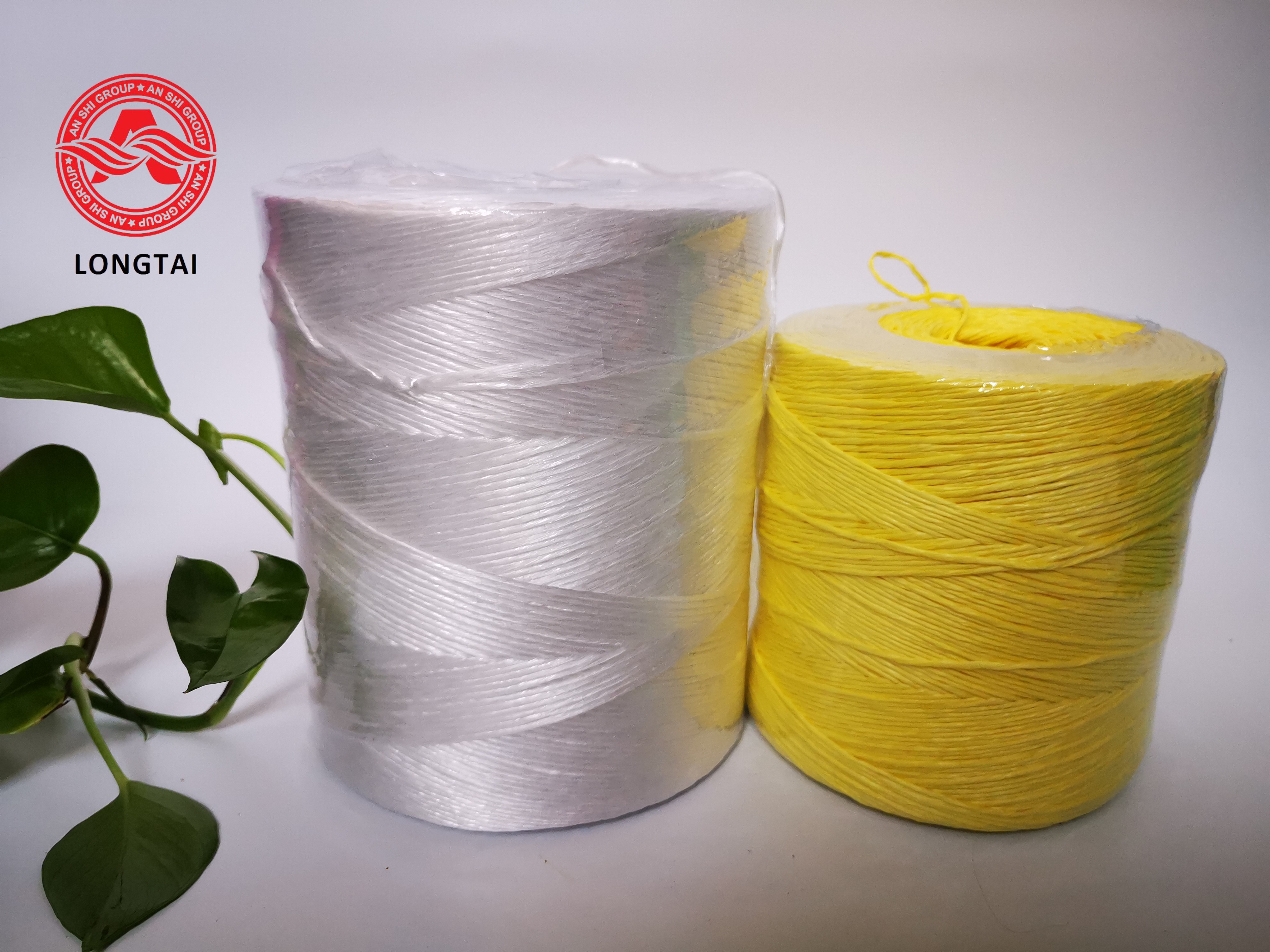 1kg / Roll Colorful 4500D 9000D PP Baler Twine For Hanging
