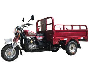 Wholesale 360kg 1.3m Axle 200cc 3 Wheel Cargo Motorcycle from china suppliers