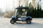 Comfortable Big Seat 2 Seat Electric Custom Golf Cart Mobility Four-Wheeled