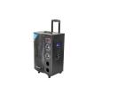 30W Power Waterproof PA Speaker , Multifunctional Trolley Speaker 395*305*630mm