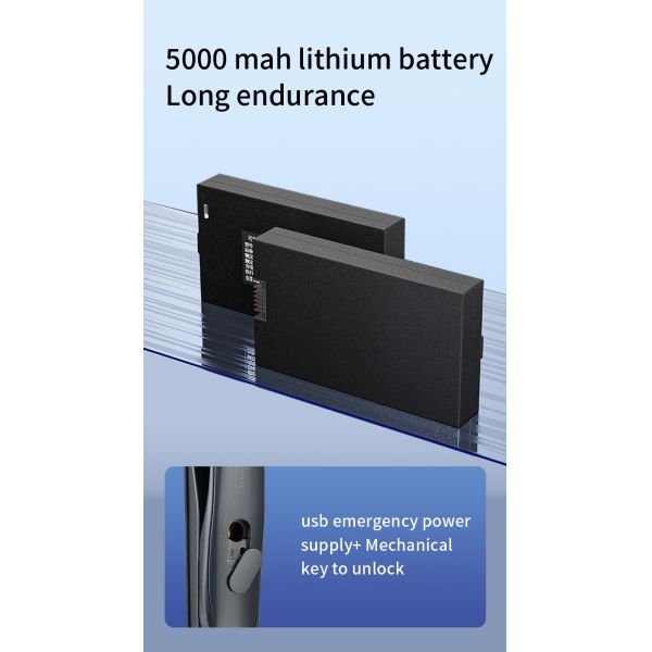 QLEUNG 3D Face Recognition Door Lock Fingerprint Card Code Access Tuya Active Video Calling WiFi Access Control Digital Lock