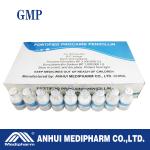 Procaine Penicillin For Injection 4mega/20ml, the drug treat different types of