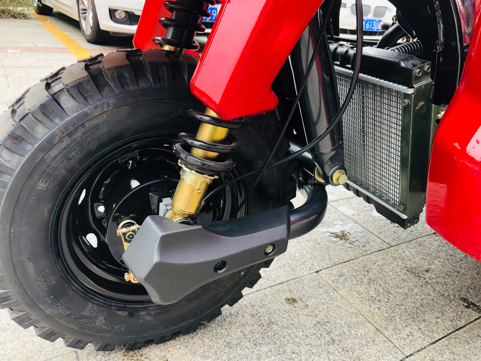 DAYANG 2021 Model Motorized Tricycle 250 CC Gasoline Cargo Tricycle RUITENG Red 28 A