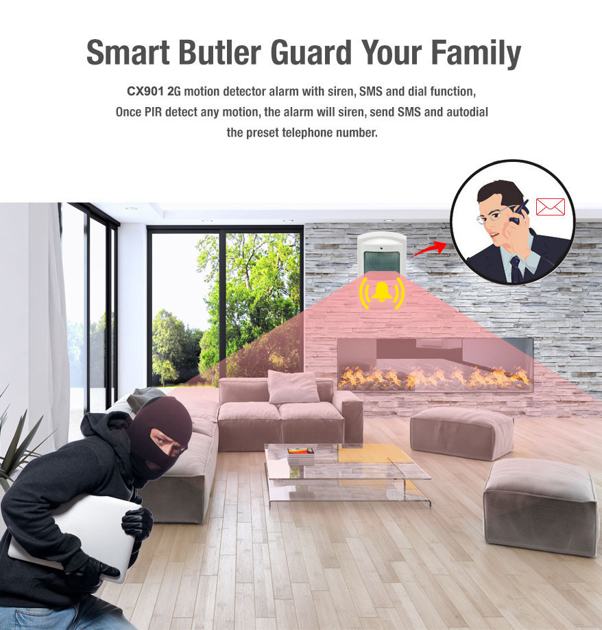 Wireless GSM PIR Motion Alarm Integrated Security Systems with Auto Dial and SMS Function
