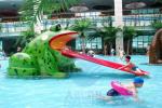 Fiberglass Water Park Splash Pad Frog Small Swimming Pool Slide For Children
