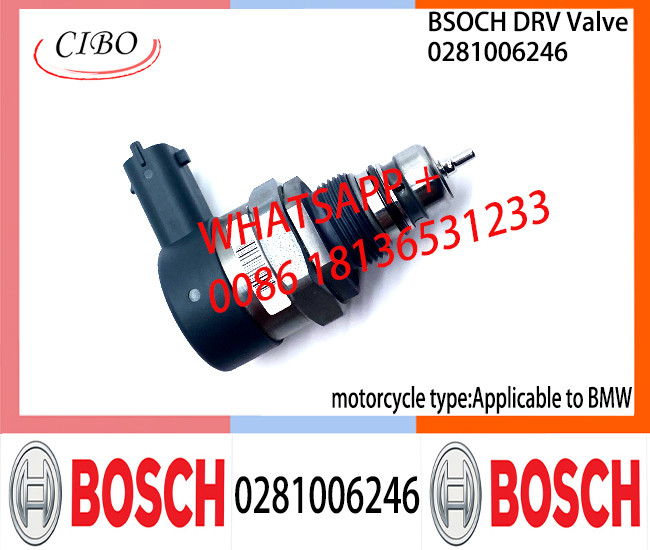 BOSCH DRV Valve 0281006246 Control Valve 0281006246 Applicable to BMW