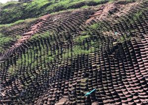 Wholesale Erosion Control Slope Protection 1.5mm Cellular Confinement System from china suppliers