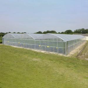 Wholesale Galvanized Steel Pipe Plastic Film Greenhouse Agricultural Multi Span from china suppliers