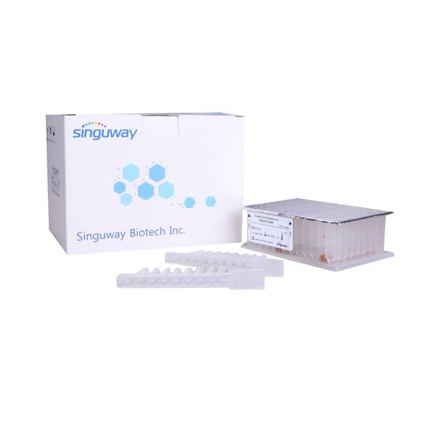 Nucleic Acid Viral DNA Purification Kit Magnetic Beads RNA Purification Kit