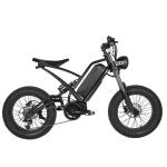 750W Motor Electric Dirt Bike for Adults Aluminum Alloy Frame Luxury Style LCD