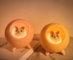 ROHS 1.2W Hamster Bedroom LED Night Light 3 Hours Charging For Kids