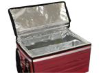 31L PU Cold Chain Packaging Durable Vacuum Insulation Panels Thermo Cooler