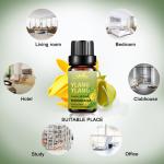 Yellow Body Essential Oils Perfume USDA 25kg Pure Ylang Ylang Essential Oil Skin