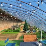 Package Gross Weight 100.000kg Sunlight Greenhouse Drip Irrigation for Flower
