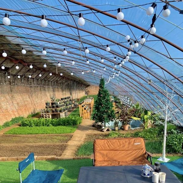 Package Gross Weight 100.000kg Sunlight Greenhouse Drip Irrigation for Flower