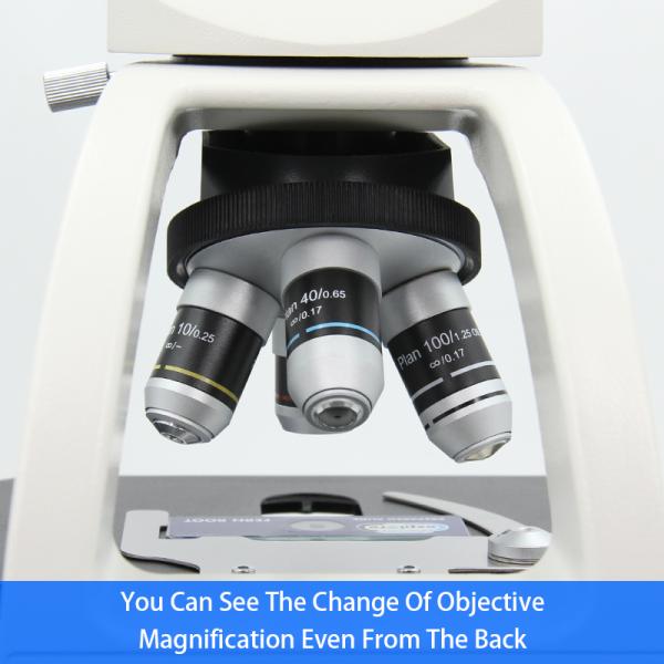 A12.1010 OPTO EDU 40x Biological Microscope 20mm Eyepiece