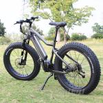 Fat City E Bike With TEKTRO Hydraulic Disc Brake CE RoHS Certificate