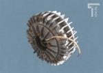 High Speed Magnetic Powder Clutch 12NM Alternative Mitsubishi 2 Years Warranty