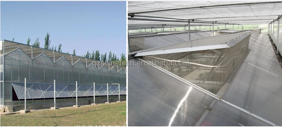 Industrial Polycarbonate Sheet Greenhouses Ideal for Growing Vegetable Fruits Flowers